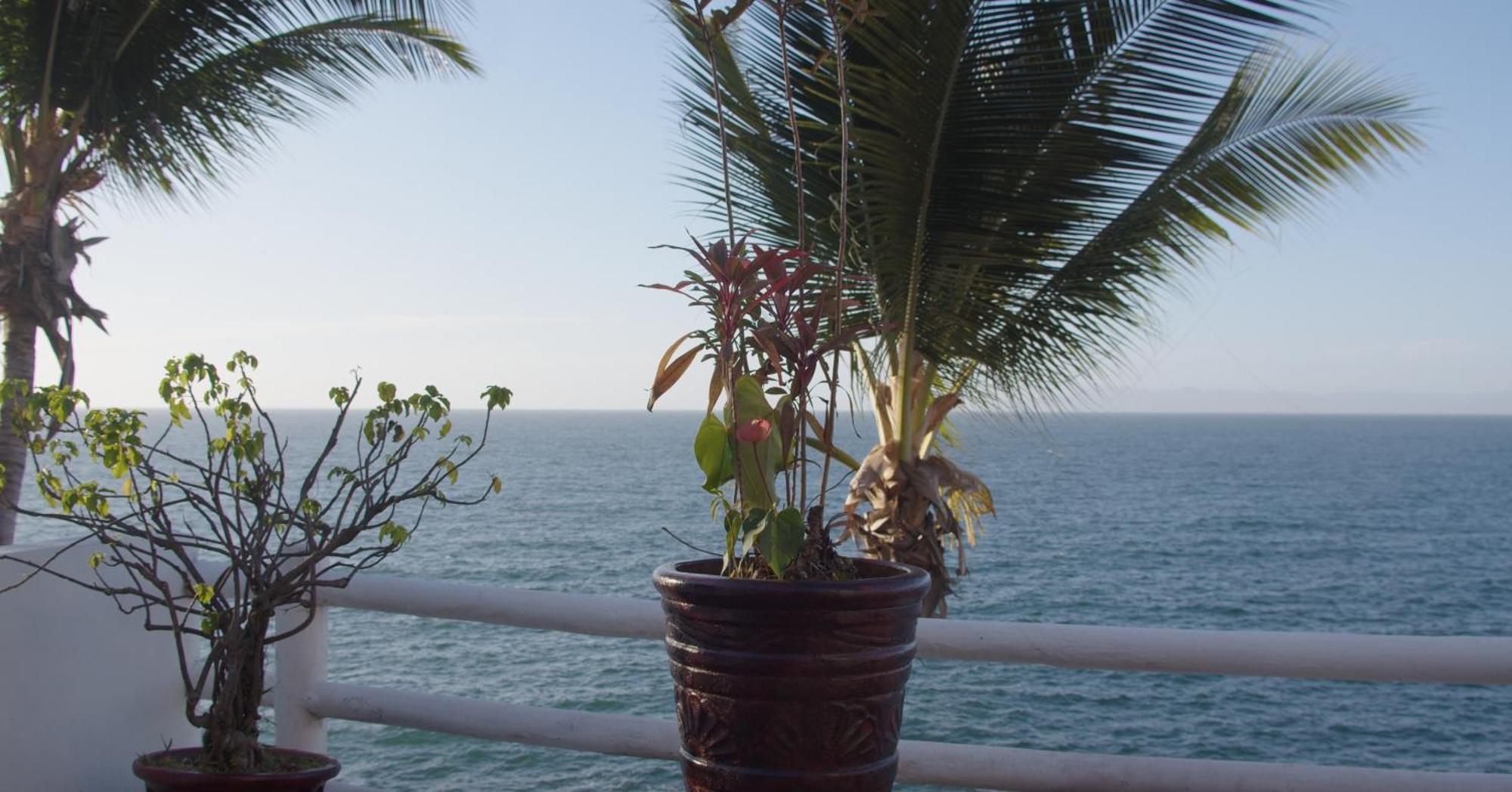 Traditional Sierra Leon Oceanfront Rooms - Adults Only Puerto Vallarta Luaran gambar